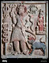 Media Image