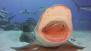 Ecosystems FINAL EXAM