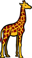 Media Image