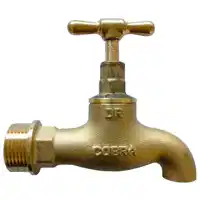 Media Image