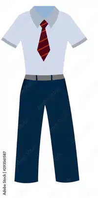 Media Image