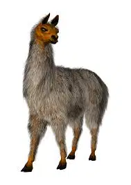 Media Image