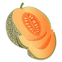 Media Image