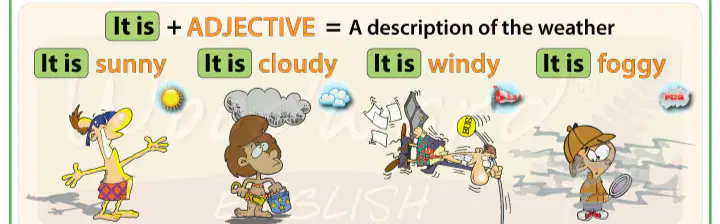 media