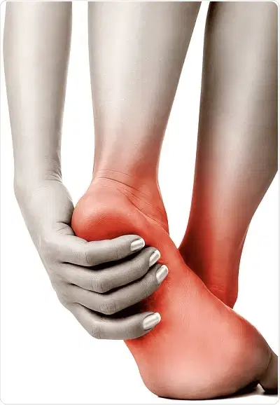 Media Image