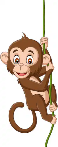 Media Image