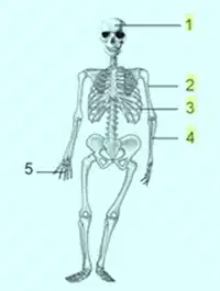 Media Image