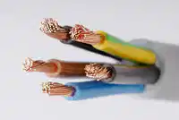 Media Image