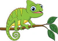Media Image