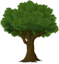 Media Image