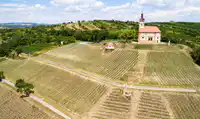 Media Image