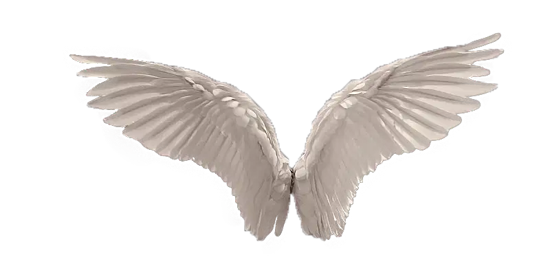 Media Image