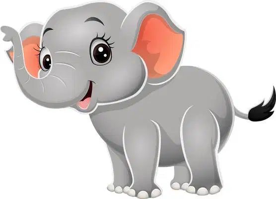 media image