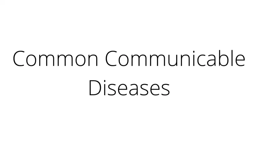 media