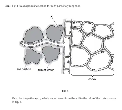Question image