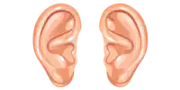 Media Image
