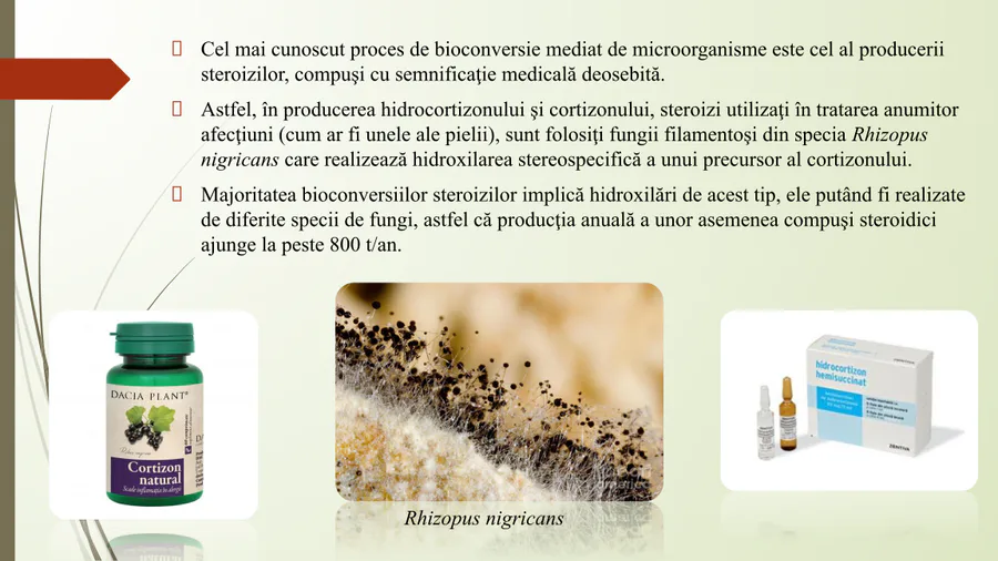 media