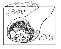 Media Image