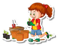 Media Image
