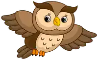 Media Image