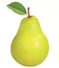 Media Image