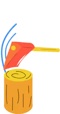 media