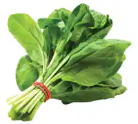 Media Image