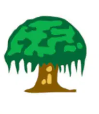 Media Image