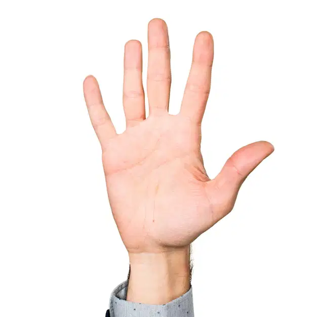 Media Image
