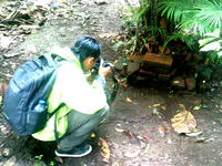 Media Image