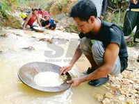 Media Image