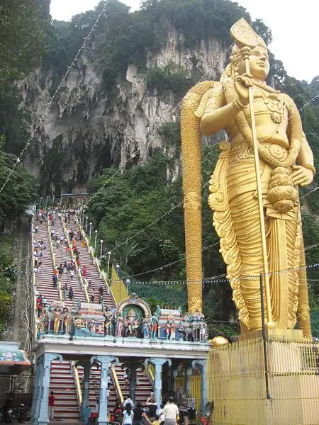 Media Image