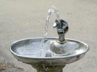 Media Image