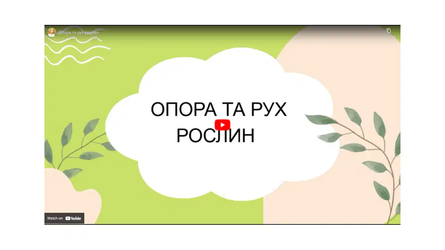 media