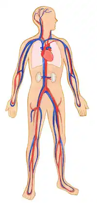 Media Image