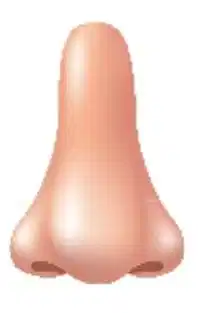 Media Image