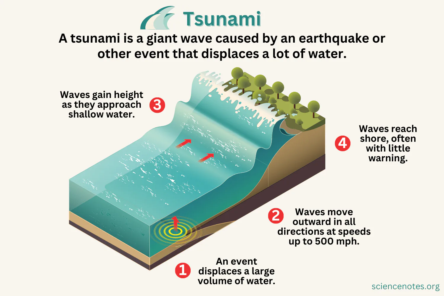 Tsunami Causes and Impacts 8th Grade Quiz | Wayground (formerly Quizizz)