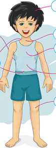 Media Image