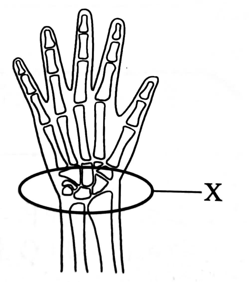 Question image