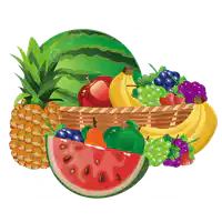 Media Image