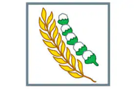 Media Image