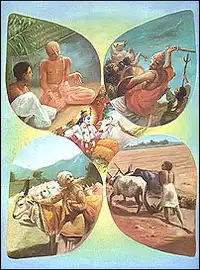 Media Image