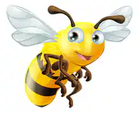 Media Image