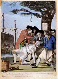 Media Image