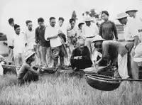 Media Image