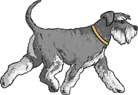 Media Image