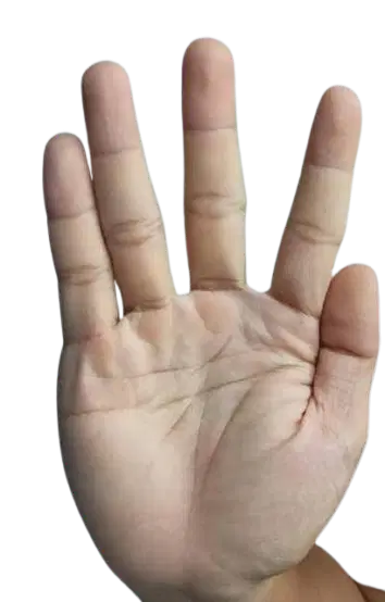 Media Image