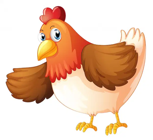 Media Image