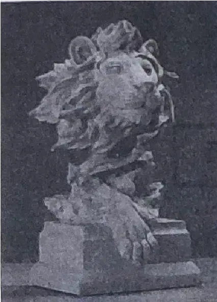 Media Image
