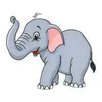 Media Image